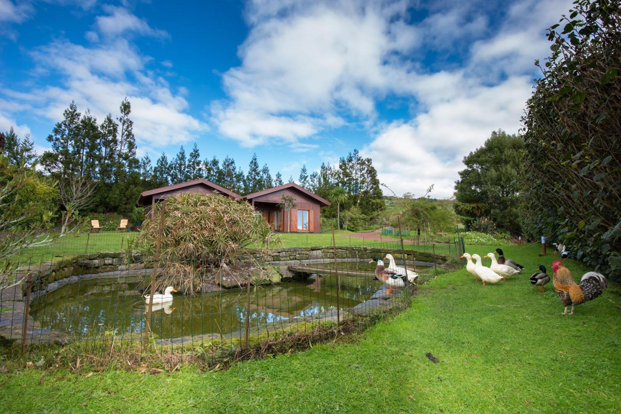 Quinta Dos Curubas Villa Vila Franca do Campo Exterior photo